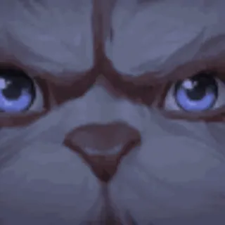 😐 猫, 动物, 眼睛, 肖像, 哺乳动物 telegram sticker