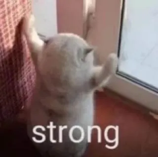 💪 strong telegram sticker