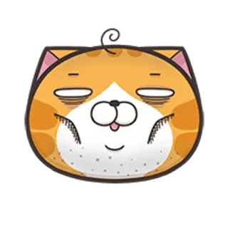 🐵 고양이, 스티커, 동물, 만화, 귀여운, 주황색, 게으른 telegram sticker