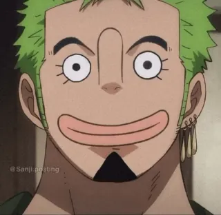 🤌 Roronoa Zoro One Piece @ Sanji posting anime, one piece, zoro, sanji, naklejka, śmieszne whatsapp sticker
