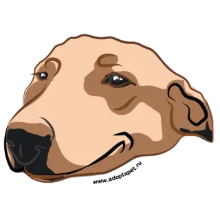 😏 chien, animal, animal de compagnie, dessin animé, autocollant, illustration whatsapp sticker