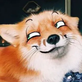 👀 raposa, animal, adesivo, fofo, engraçado, desenho animado telegram sticker