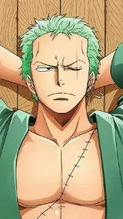 💚 Zoro One Piece Anime, One Piece, Zorro, Schwertkämpfer, Narbe, grüne Haare, Charakter telegram sticker