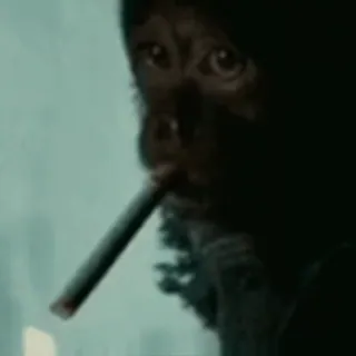 🚬