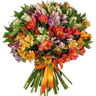 💐 ดอกไม้, ช่อดอกไม้, ดอกอัลสโตรมีเรีย, การจัดดอกไม้, ของขวัญ, งานฉลอง, ธรรมชาติ, มีสีสัน whatsapp sticker