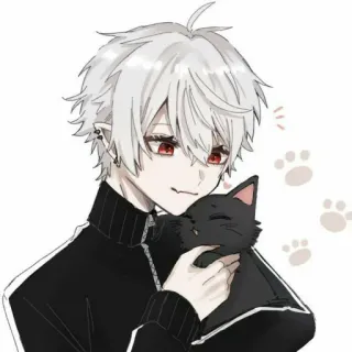 🤍 anime, manga, cat, cute, boy, illustration whatsapp sticker