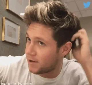 🎸 Niall Horan isabelle Tweeted: celebridade, cantor, one direction, niall horan telegram sticker