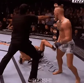 🤫 Conor McGregor mma, kampf, ufc, sport, knockout telegram sticker