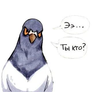🙄 Ээ... 
Ты кто? oiseau, pigeon, en colère, question, russe whatsapp sticker