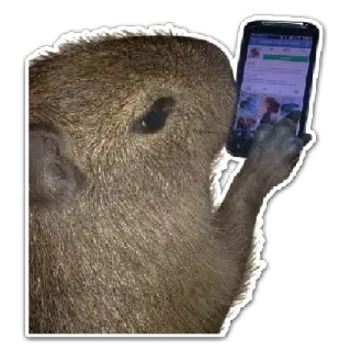 📱 małpa, telefon, zwierzę, technologia, mem telegram sticker