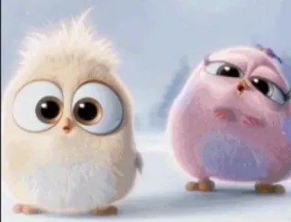 🤩 vogel, schattig, geanimeerd, cartoon, dier whatsapp sticker