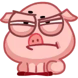 🤨 Schwein, Cartoon, Tier, Süß, Sticker telegram sticker