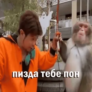 🗡 пизда тебе пон macaco, ofensivo, meme, russo, homem whatsapp sticker