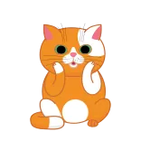 cat Jupiter telegram stickers
