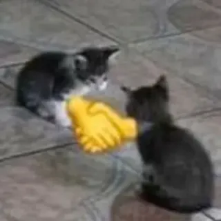 🤝 cats, handshake, friends, agreement, cute, meme, cooperation telegram sticker