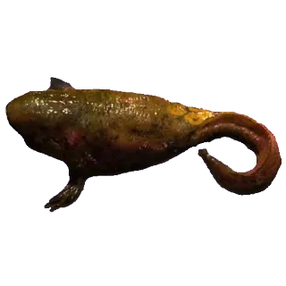 🦎 animal, fish, aquatic, sea creature, wildlife, water, nature telegram sticker