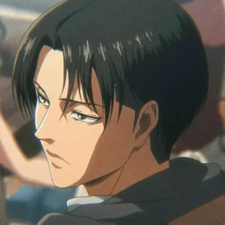 ⚔ Levi Ackerman Attack on Titan Anime, Sério, Soldado, Limpo, Levi whatsapp sticker