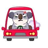 Kozy Koala whatsapp stickers