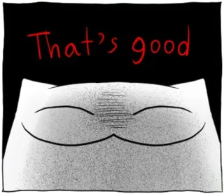 🔴 That's good cat, meme, satisfied, good telegram sticker