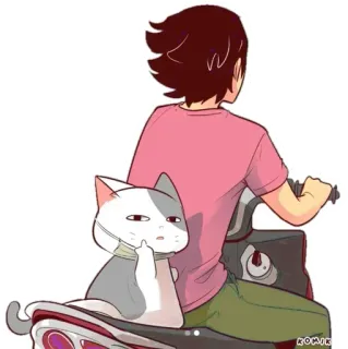 🐈 猫, 中指, 滑板车, 卡通, 动物, 冒犯 whatsapp sticker