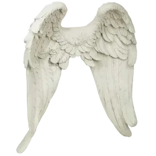 🪽 angel wings, feathers, wings, white wings, spirituality, celestial, flight, symbolic telegram sticker