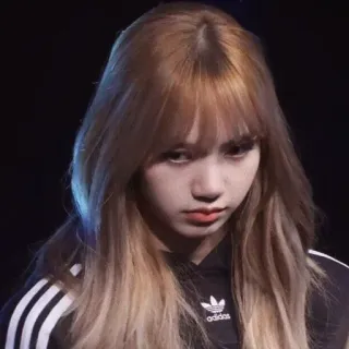 🙁 Lisa kpop, música, cantora, celebridade, mulher, cabelo, adidas telegram sticker