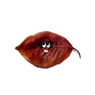🍁 feuille, yeux, dents, dessin animé, nature, automne, automne whatsapp sticker
