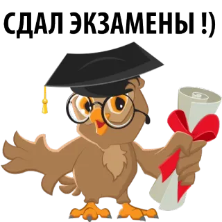 😚 СДАЛ ЭКЗАМЕНЫ !) coruja, formatura, certificado, capelo, educação, celebração, exame, acadêmico whatsapp sticker