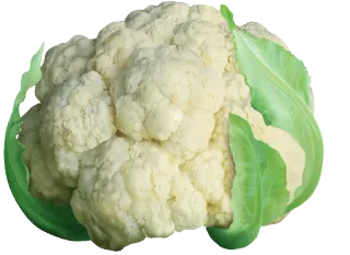 🍀 verdura, coliflor, comida, saludable telegram sticker