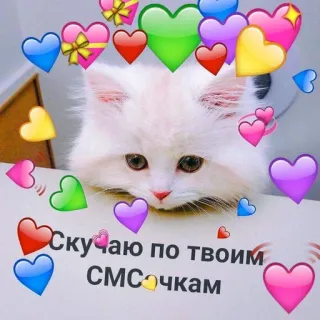 🩹 Скучаю по твоим СМС-очкам katze, herzen, liebe, süß, russisch, text whatsapp sticker