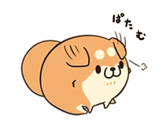🐶 ぱたむ Hund, süß, Tier, Cartoon, schläfrig, Shiba Inu telegram sticker