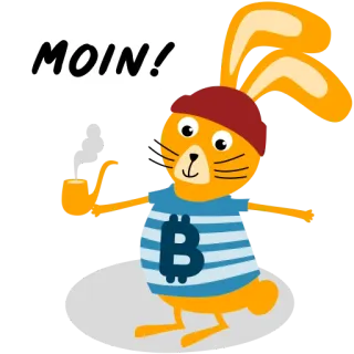🙋‍♂️ MOIN! rabbit, bitcoin, greeting, animal, cartoon telegram sticker