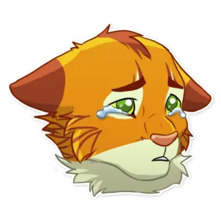 😢 chat, triste, pleurs, animal, larmes, dessin animé whatsapp sticker