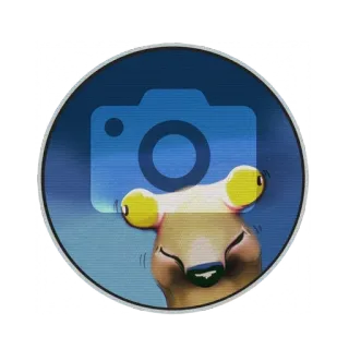 📸 camera, animal, sticker, cute, funny telegram sticker
