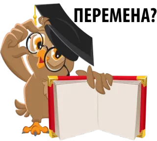 😜 coruja, formatura, diploma, educação, desenho animado, livro, acadêmico whatsapp sticker