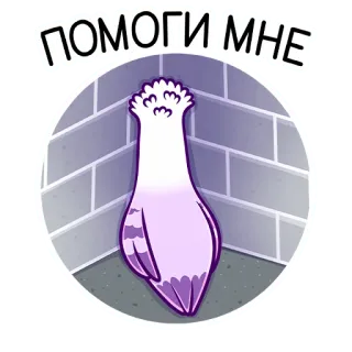 Голубка Вайолет :: @stickroom whatsapp stickers