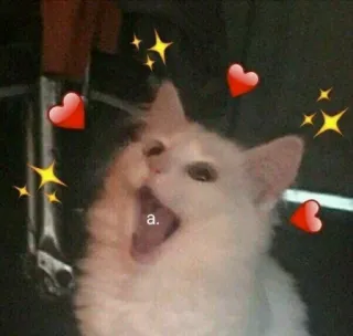 🅰 a. gatto, animale, carino, cuori, brillantini telegram sticker