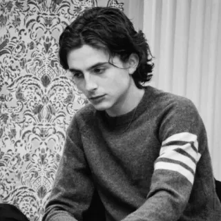😕 Timothée Chalamet Timothée Chalamet, ator, celebridade, retrato, preto e branco telegram sticker
