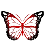🦋