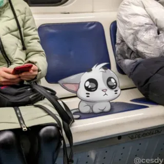 🚍 猫, 动物, 贴纸, 卡通, 可爱 telegram sticker