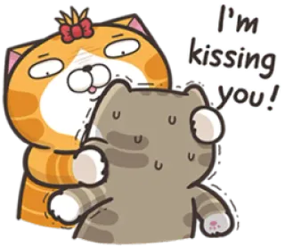 😉 I'm kissing you! küssen, katze, liebe, zuneigung, cartoon, tiere telegram sticker