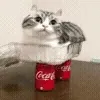 🚰