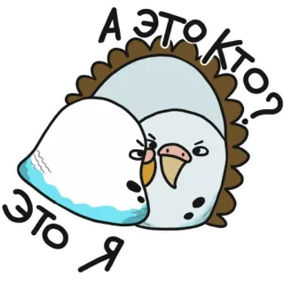 😗 А это кто? это я попугай, птицы, наклейка, смешной, милый, волнистый попугайчик, животные telegram sticker