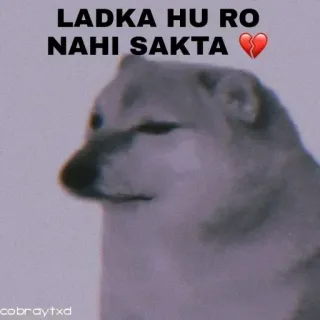 😞 Cheems Doge LADKA HU RO NAHI SAKTA telegram sticker