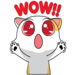 😨 WOW!! 卡通, 猫, 哇, 可爱, 震惊, 兴奋, 惊讶 whatsapp sticker