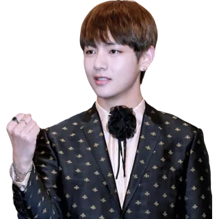✊️ V kpop, bts, cantante, celebrità, maschio, idolo telegram sticker