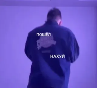 🌟 пошёл 
НАХУЙ оскорбительный, текст, русский, мат telegram sticker