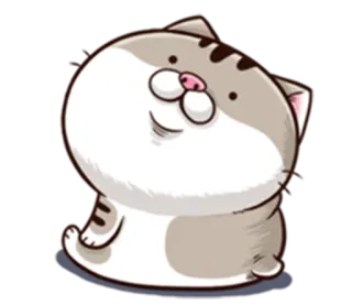 😶 Katze, niedlich, Tier, Aufkleber, kawaii whatsapp sticker