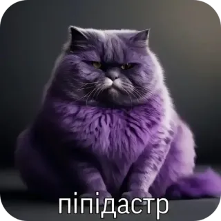 🐱 піпідастр mèo, tím, xúc phạm, meme telegram sticker