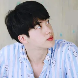 🐹 Jin Jin, BTS, K-Pop, Sänger, Idol, Koreanisch, Promi telegram sticker